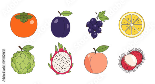 Assortment of colorful fresh fruits illustration