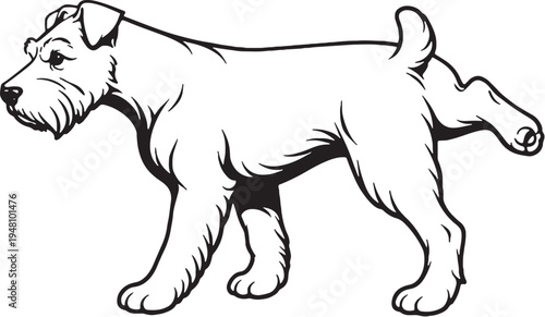 Miniature Schnauzer Marking Territory Leg Lift Black and White Line Art Illustration