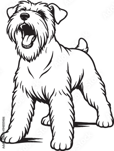 Miniature Schnauzer Barking Alert Stance Black and White Line Art Illustration