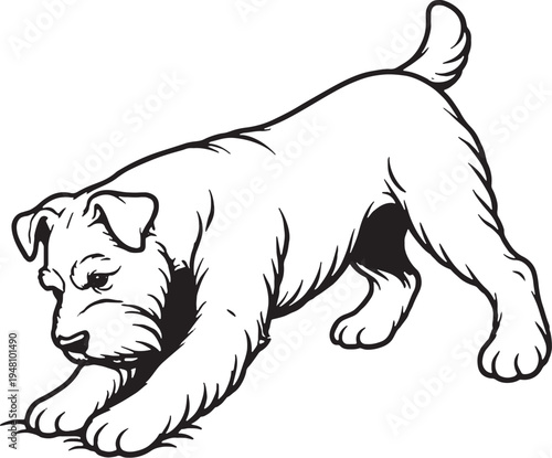 Miniature Schnauzer Digging Action Black and White Line Art Illustration