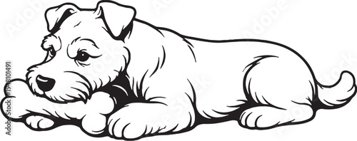 Miniature Schnauzer Chewing Bone Lying Down Side View Black and White Line Art Illustration