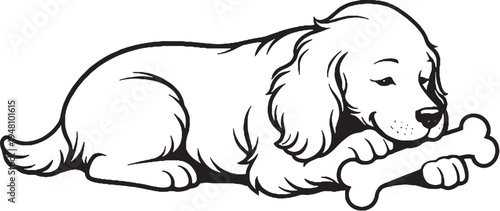 Cocker Spaniel Chewing Bone Lying Down Side View Black and White Line Art
