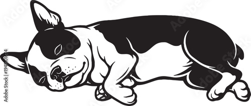 Boston Terrier Sleeping on Side Relaxed Black and White Line Art Illustration