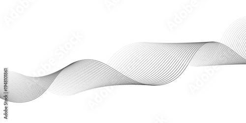 Abstract Monochrome Wave Line Vector with Dynamic Black and White Parallel Curves Creating Smooth Sine Pattern for Audio Frequency, Signal Waves, and Digital Technology.