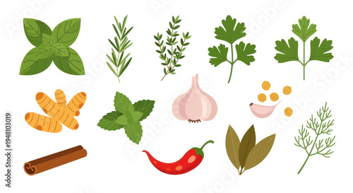 Fresh herbs and spices collection illustration