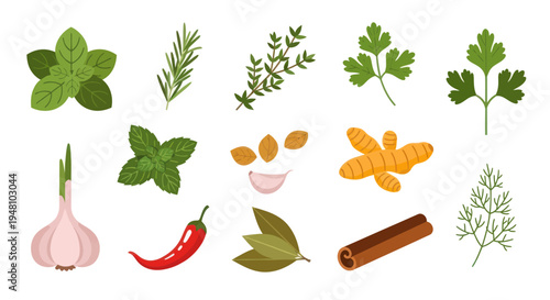 Fresh herbs and spices on white background