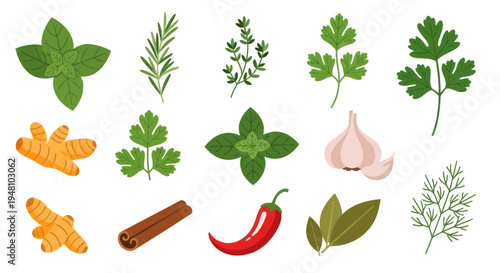 Fresh herbs and spices on white background