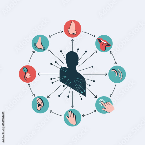 Diagram illustrating the five human senses, including sight, smell, taste, hearing, and touch.