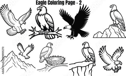 Black and white eagle on white background eagles bird