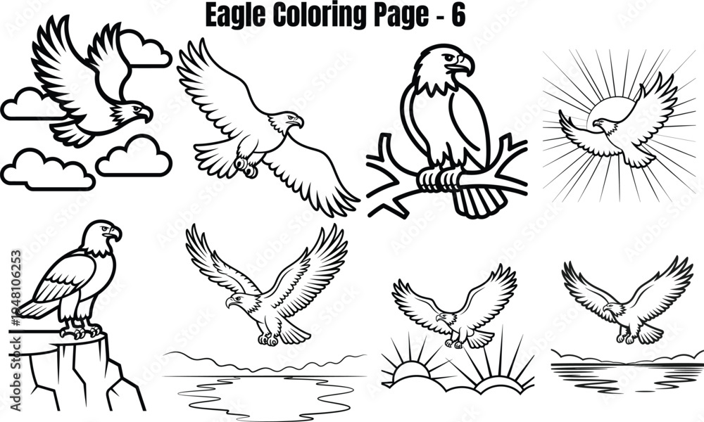 Fototapeta premium Eagle for coloring eagles birds 1 flying wings