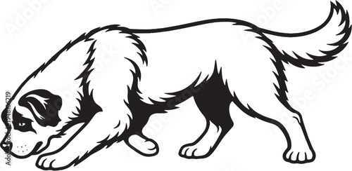 Saint Bernard Sniff Tracking Nose Down Black and White Line Art Vector Illustration