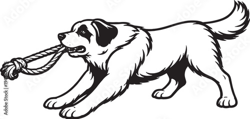 Saint Bernard Tugging Rope Pull Stance Black and White Line Art Vector Illustration