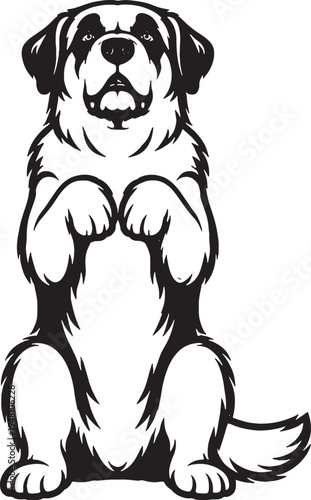 Saint Bernard Sitting Beg Pose Front View Black and White Line Art Vector Illustration