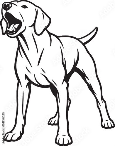 Vizsla barking alert stance black and white line art illustration