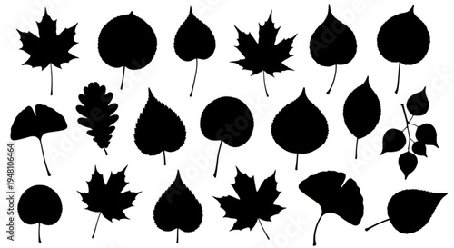 set of autumn leaves silhouette vector on white background