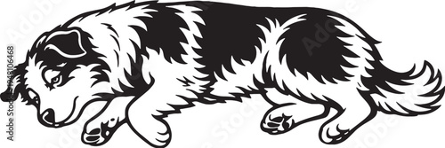 Australian Shepherd Sleeping On Side Relaxed Black and White Line Art Vector