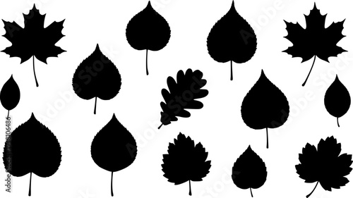 set of autumn leaves silhouette vector on white background