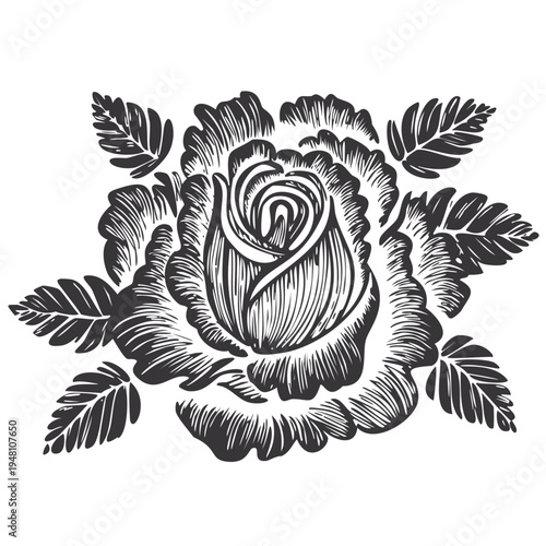 Etch style floral rose with leaves illustration, black white monochrome hand carved design, wooden block printing flower folk art pattern, detail intricate lines botanical ornament, graphic vector 