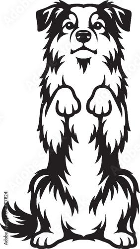 Australian Shepherd Sitting Beg Pose Front View Black and White Line Art Vector