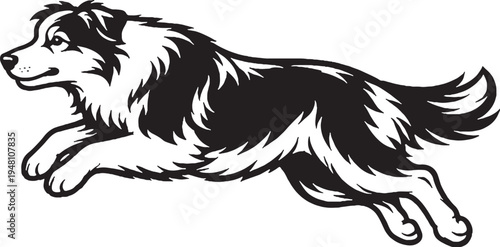 Australian Shepherd Jumping Mid Air Side View Black and White Line Art Vector