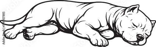 American Bully Sleeping On Side Relaxed Black and White Line Art Illustration