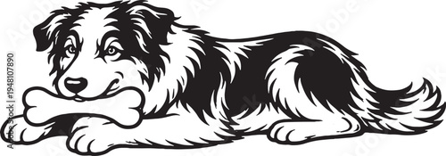 Australian Shepherd Chewing Bone Lying Down Side View Black and White Line Art Vector