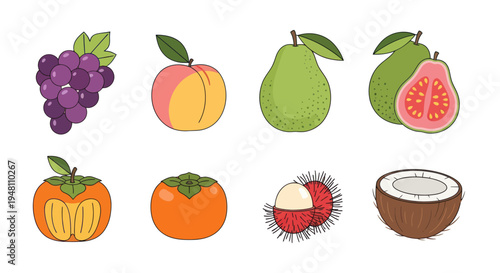 Colorful assortment of fresh tropical fruits
