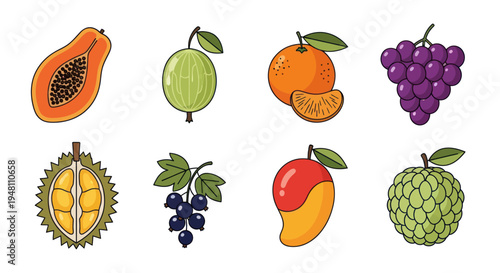 Colorful fruit assortment illustration