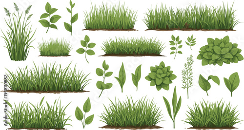 Green Grass Borders and Garden Plants Vector Set with Realistic Meadow Tufts, Leaves, and Foliage Elements for Landscape Design and Summer Nature Backgrounds