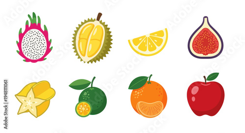 Colorful fruit assortment vector illustration