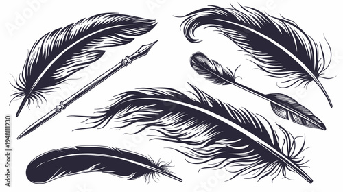 Artistic vector illustration of several stylized feathers and a quill pen in black and white