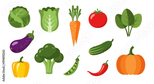 Colorful vegetables illustration on white background