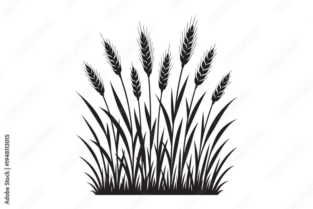 Fototapeta premium Ripe cereal wheat spikes silhouette for bakery and farm branding. Organic bread grain harvest icon vector.