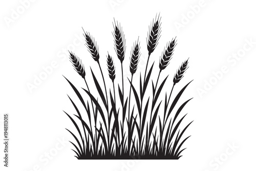 Ripe cereal wheat spikes silhouette for bakery and farm branding. Organic bread grain harvest icon vector.