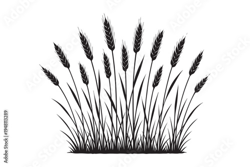 Wheat Field Silhouette Vector Illustration for Agriculture and Harvest Themes