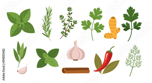 Fresh herbs and spices collection