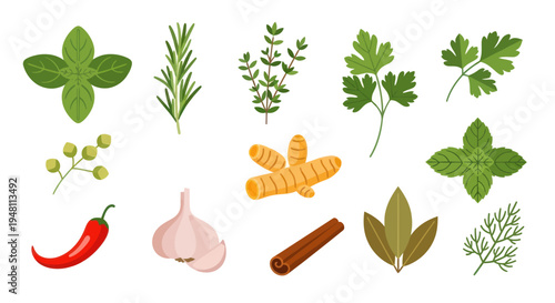 Fresh herbs and spices collection
