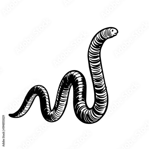 Black and white cartoon illustration of a wavy snake character  