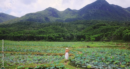 Cinematic Wide Shot Lotus Pond And Mountains, Quang Nam Vietnam Woman Walks