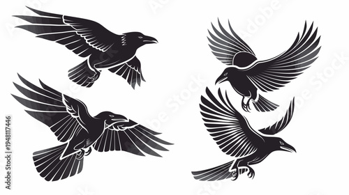 Four black bird illustrations, with dark feathers spread in mid-flight on a white background