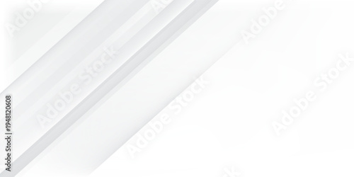 Modern simple white abstract background trend and showcase vector10