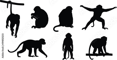 Monkey silhouette set. Primate sitting, climbing, hanging and walking poses collection. Wild jungle monkey animals isolated, wildlife vector illustration pack.