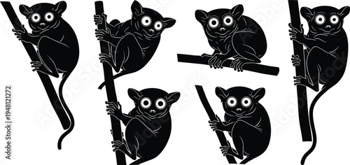 Tarsier silhouette collection. Cute big-eye primate sitting and climbing on branches. Nocturnal jungle animal poses isolated, wildlife vector illustration set.