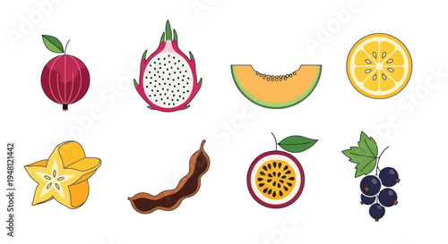 Variety of colorful exotic fruits illustration