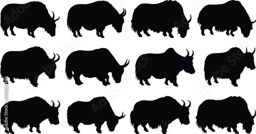 Yak silhouette collection. Wild and domestic yak standing and grazing poses. Hairy horned bovine animals isolated, mountain livestock vector illustration set.