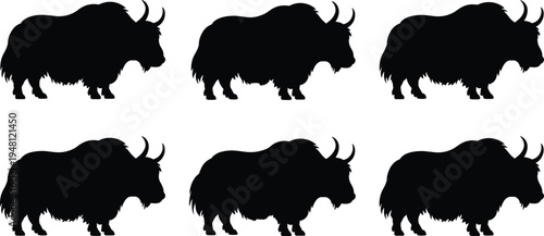 Yak silhouette collection. Hairy horned yak standing poses set. Mountain bovine livestock animals isolated, wild yak vector illustration pack.