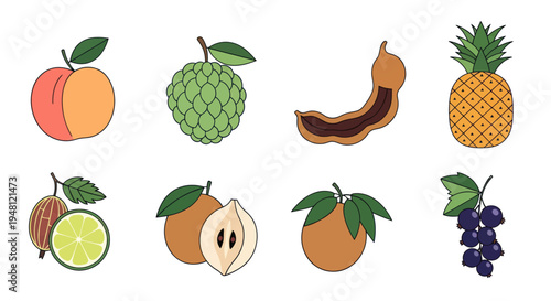 Variety of colorful fruits isolated on white