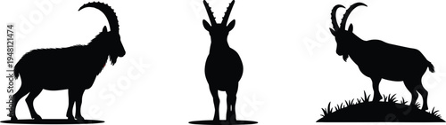 Chamois silhouette collection. Alpine mountain goat standing poses. Wild horned chamois on rock and ground, wildlife animal vector illustration set.
