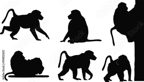 Baboon primate silhouette set. African monkey walking, sitting, grooming and climbing poses. Wild savanna wildlife vector illustration collection.