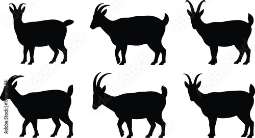 Goral silhouette set. Asian mountain goat antelope standing and walking poses. Wild cliff dwelling mammal wildlife vector illustration collection.